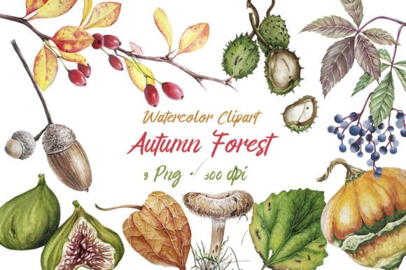 Elevate Your Creative Projects with Watercolor Clipart Autumn Forest